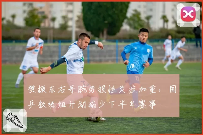 樊振东右手腕劳损性炎症加重，国乒教练组计划减少下半年赛事