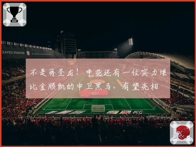 不是蒋圣龙!申花还有一位实力堪比金顺凯的中卫黑马,有望亮相