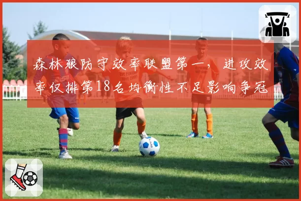 森林狼防守效率联盟第一，进攻效率仅排第18名均衡性不足影响争冠