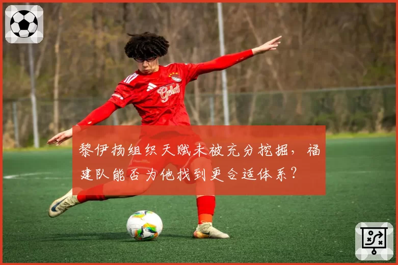 黎伊扬组织天赋未被充分挖掘,福建队能否为他找到更合适体系?
