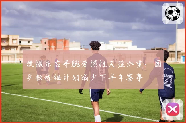 樊振东右手腕劳损性炎症加重，国乒教练组计划减少下半年赛事