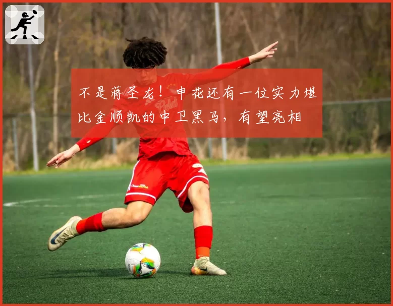 不是蒋圣龙!申花还有一位实力堪比金顺凯的中卫黑马,有望亮相