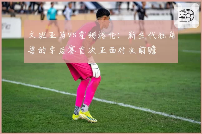 文班亚马vs霍姆格伦：新生代独角兽的季后赛首次正面对决前瞻